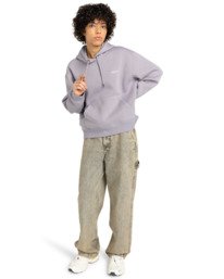 3 Element Co Po W - Sweat à capuche pour Femme Gris ELJFT00125 Element