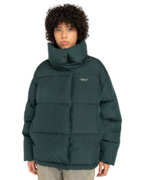 2 Aspen 2.0  - Steppjacke für Frauen Blau ELJJK00129 Element