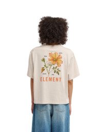 2 Peace Of Mind Beige ELJZT00148 Element