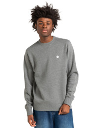 2 Cornell Classic - Sweatshirt for Men Gray ELYFT00133 Element