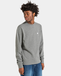 1 Cornell Classic - Sweatshirt für Männer Grau ELYFT00158 Element