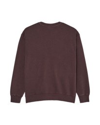 1 Lowcase Pigment Cr Braun ELYFT00172 Element