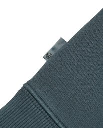 2 Lowcase Pigment Po Grau ELYFT00173 Element