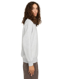 3 Element Co Cr - Sweatshirt for Men Grey ELYFT00176 Element