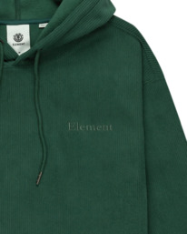 2 Cornell  - Hoody voor Heren Multi ELYFT00187 Element