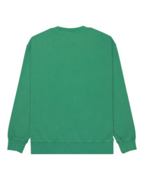 1 Cornell 3.0 - Pullover Sweatshirt for Men Green ELYFT00188 Element