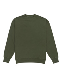 1 Cornell 3.0 - Sweat pour Homme Vert ELYFT00188 Element