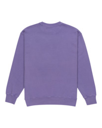 1 Cornell 3.0 - Sudadera para Hombre Violeta ELYFT00188 Element