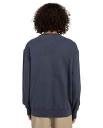 6 Cornell 3.0 - Sweater voor Heren Blue ELYFT00188 Element