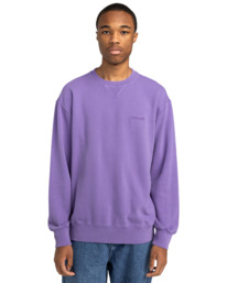 2 Cornell 3.0 - Felpa pullover da Uomo Purple ELYFT00188 Element