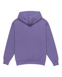 1 Cornell 3.0 - Kapuzenpulli für Männer Violett ELYFT00189 Element