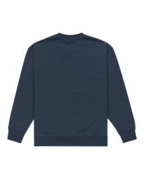 1 Cornell Cipher - Felpa pullover da Uomo Blue ELYFT00190 Element