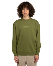 2 Cornell Cipher Verde ELYFT00190 Element