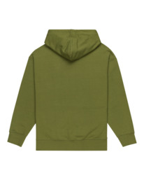 1 Cornell Cipher - Pullover Hoodie for Men Green ELYFT00191 Element