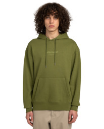 2 Cornell Cipher - Pullover Hoodie for Men Green ELYFT00191 Element