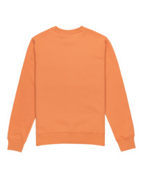 1 Cornell Classic - Sweatshirt für Männer Orange ELYFT00197 Element