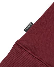 2 Icon Embroidery Po - Sweat à capuche pour Homme Rouge ELYFT00198 Element