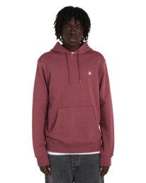 2 Icon Embroidery Po - Sweat à capuche pour Homme Violet ELYFT00198 Element