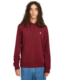 2 Icon Embroidery Po - Hoodie for Men Red ELYFT00198 Element