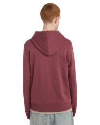 6 Icon Embroidery - Zip Sweatshirt for Men Purple ELYFT00199 Element
