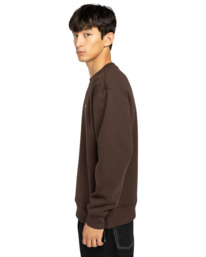 3 Icon Rain Cr - Sudadera para hombre Marron ELYFT00205 Element