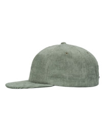 3 Lodge Cap - Strapback-Cap für Männer Grün ELYHA00185 Element