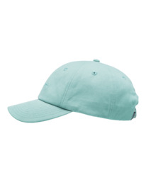 1 Fluky 3.0 - Dad Cap voor Heren Blue ELYHA00189 Element