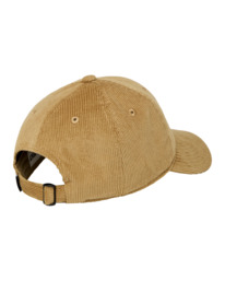 3 Icon Dad Corduroy - Classic Dad Cap for Men Brown ELYHA00203 Element