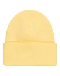 Element Men's Dusk Beanie - Low Profile Skater Style Winter Hat