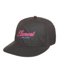0 Pool Service 6 Panel Schwarz ELYHA00264 Element
