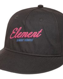 2 Pool Service 6 Panel Schwarz ELYHA00264 Element