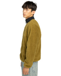 3 Classic  - Sherpa-Jacke für Männer Braun ELYJK00223 Element