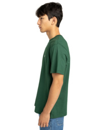3 Icon Embroidery - T-Shirt à manches courtes pour Homme Vert ELYKT00168 Element