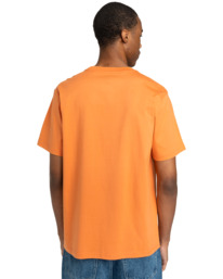 5 Crail  - Short Sleeves T-shirt for Men Orange ELYKT00168 Element