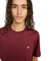 4 Icon Embroidery - Camiseta de manga corta para hombre Rojo ELYKT00168 Element