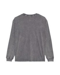 1 Lowcase Pigment Gray ELYKT00176 Element