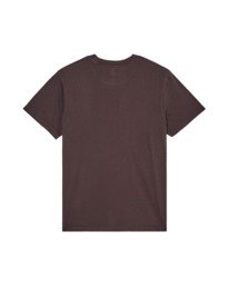 1 Lowcase Pigment Brown ELYKT00177 Element