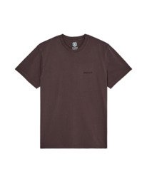 0 Lowcase Pigment Brown ELYKT00177 Element