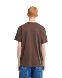 8 Lowcase Pigment Brown ELYKT00177 Element