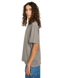 3 Lowcase Pigment - T-Shirt à manches courtes pour Homme Noir ELYKT00177 Element