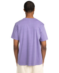 6 Lowcase - Camiseta de manga corta para Hombre Violeta ELYKT00177 Element