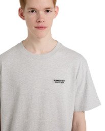 4 Element Co - Short Sleeve T-Shirt for Men Grey ELYKT00206 Element
