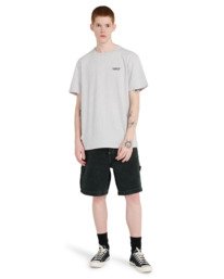 5 Element Co - Short Sleeve T-Shirt for Men Grey ELYKT00206 Element