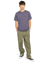 5 Big Pleated - Chino-Hose für Männer Grün ELYNP00193 Element