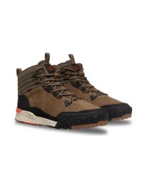 1 Donnelly Elite Braun ELYS300035 Element