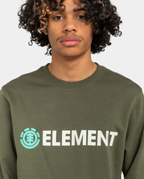 4 Blazin - Sweatshirt for Men Green ELYSF00155 Element