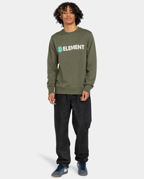 5 Blazin - Sweatshirt for Men Green ELYSF00155 Element