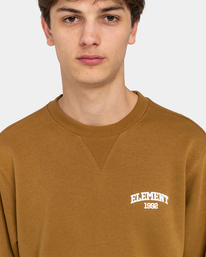 4 1992 - Sweatshirt für Männer  ELYSF00203 Element