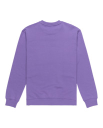 1 Dual - Pullover Sweatshirt for Men Purple ELYSF00264 Element