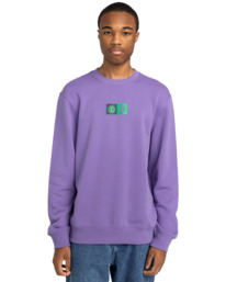 2 Dual - Pullover Sweatshirt for Men Purple ELYSF00264 Element